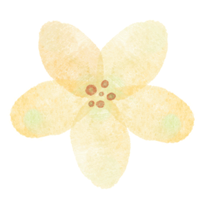 云南省中医医院