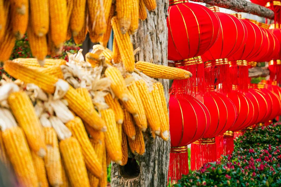 丽江日报