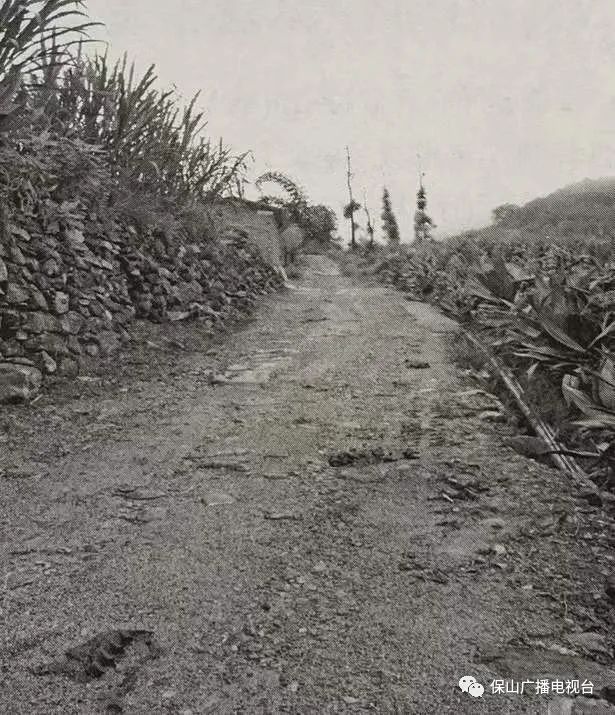 保山广播电视台