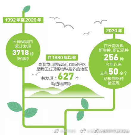 COP15全国超过三分之一的新物种发现于云南！ 
