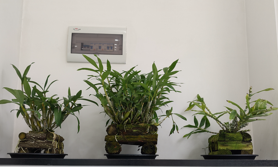 保山广播电视台