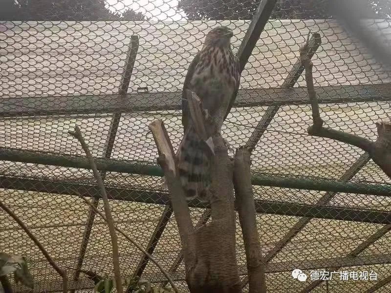 德宏广播电视台