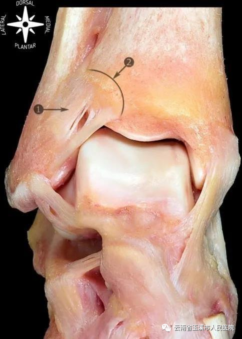 云南省玉溪市人民医院
