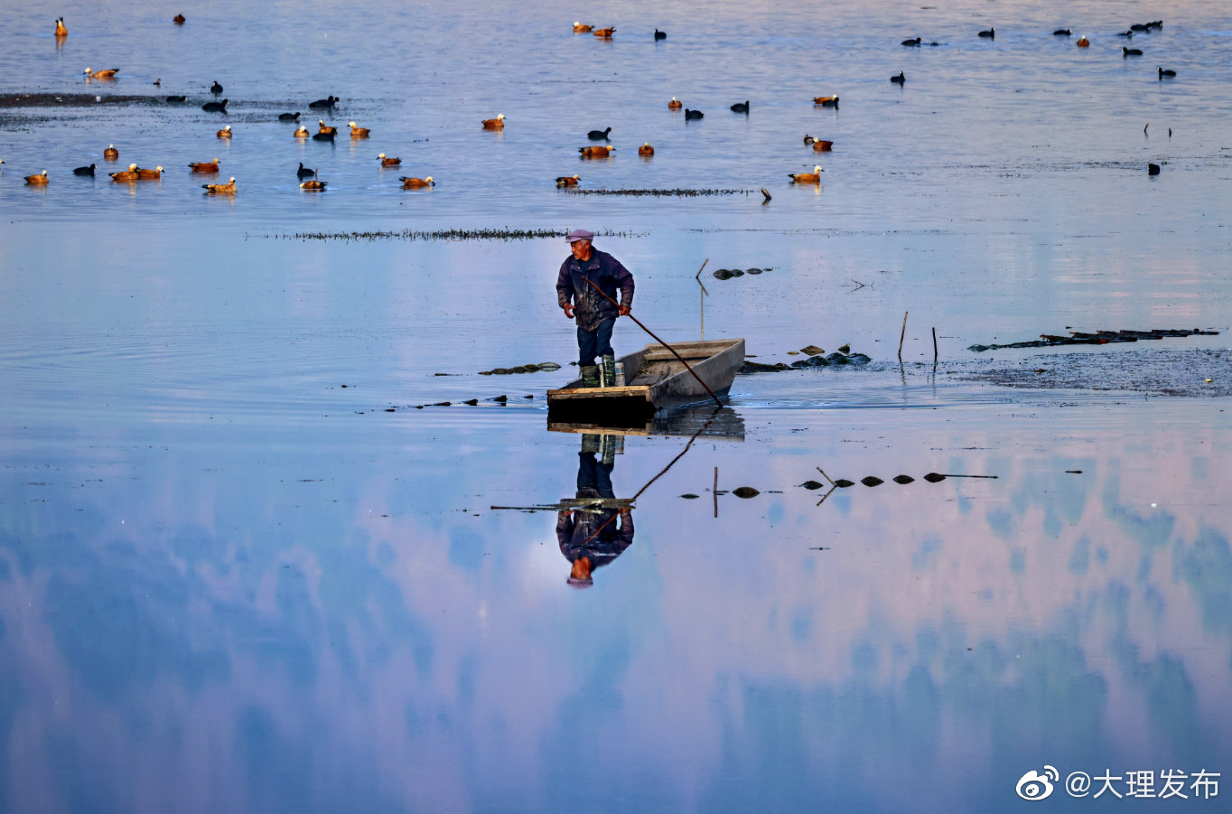 “大理发布”微博