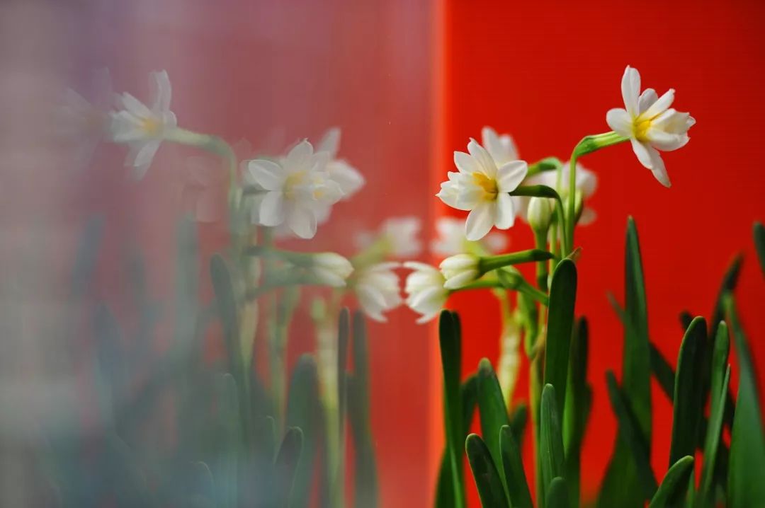 东川发布(微信)