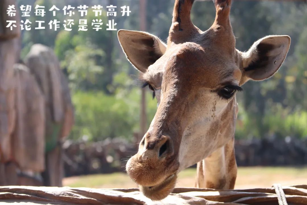 云南野生动物园