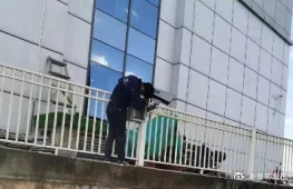 嵩明发布