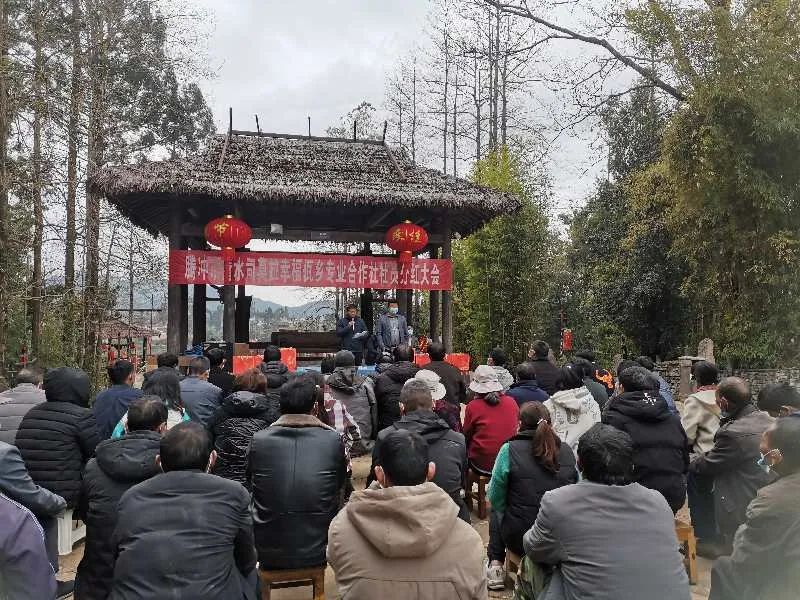 保山新闻网