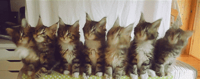 掌上春城微信公众号