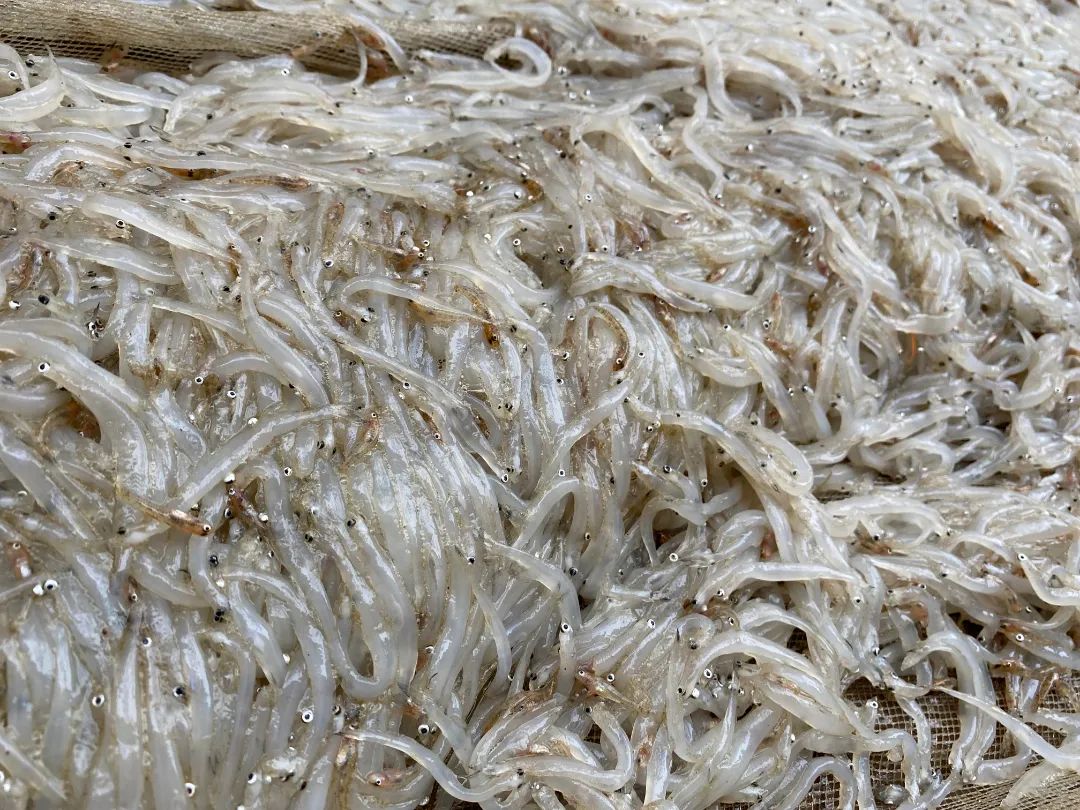 昆明阳宗海风景名胜区(微信)