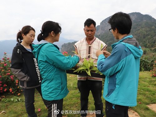 西双版纳热带植物园微博
