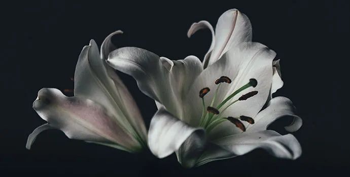 昆明市西山区图书馆