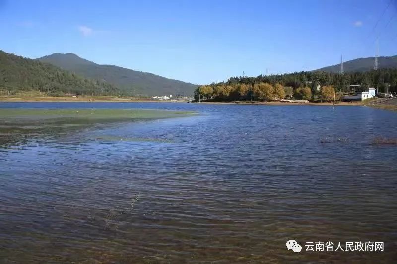 云南省人民政府网