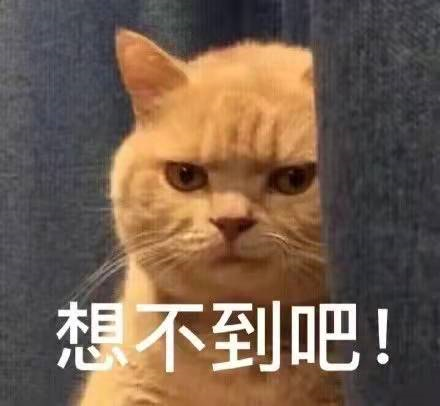 西山住建