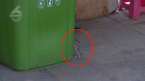 昆明信息港/cnkmxxg