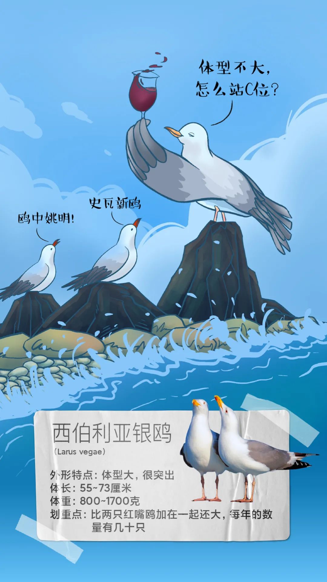 昆明发布