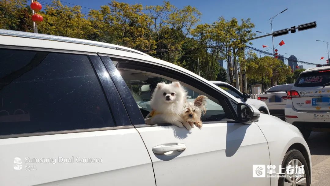 掌上春城微信公众号