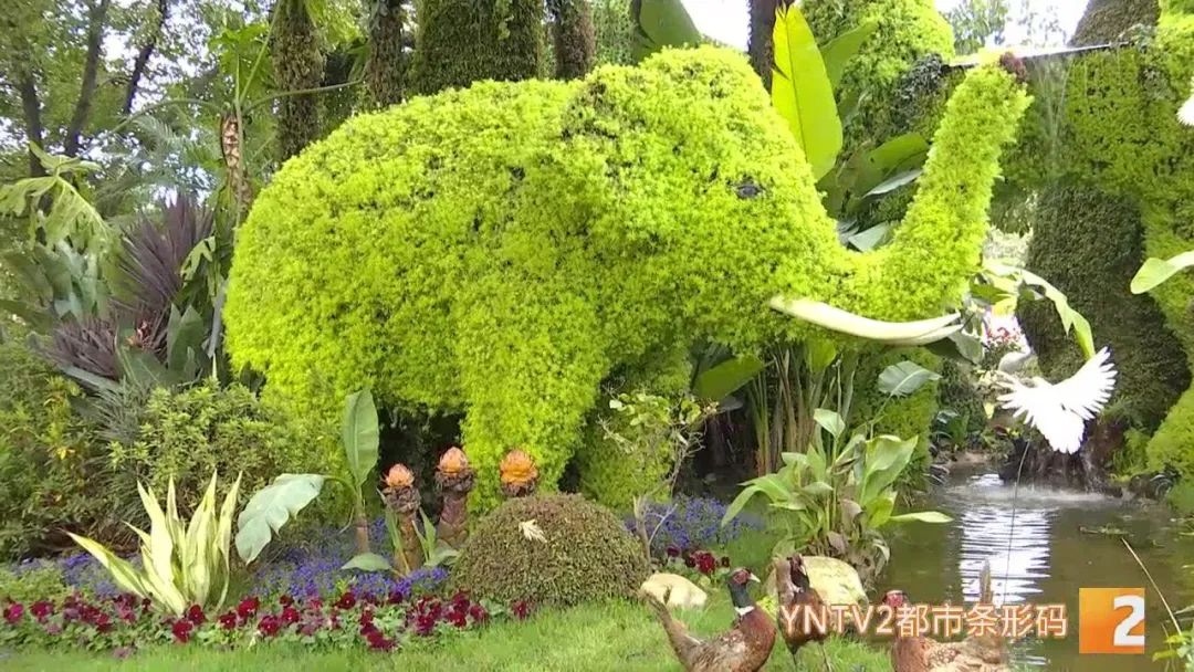 昆明信息港/cnkmxxg