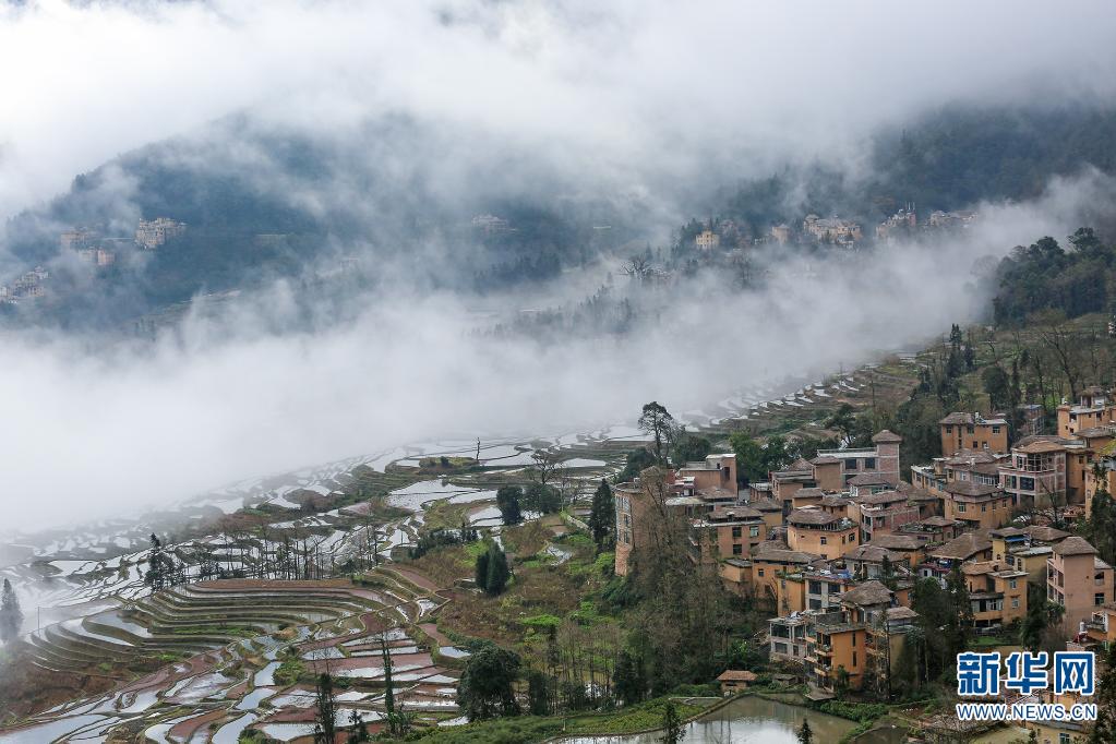 云南省文化和旅游厅