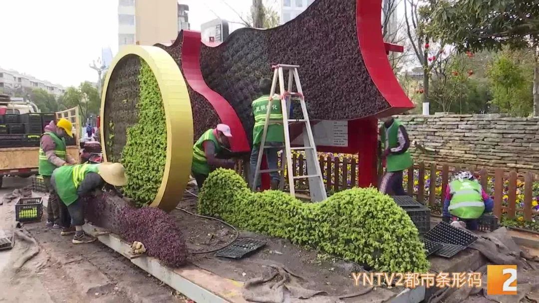 昆明信息港/cnkmxxg