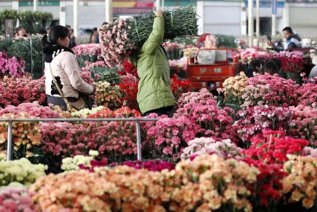 云南省人民政府网