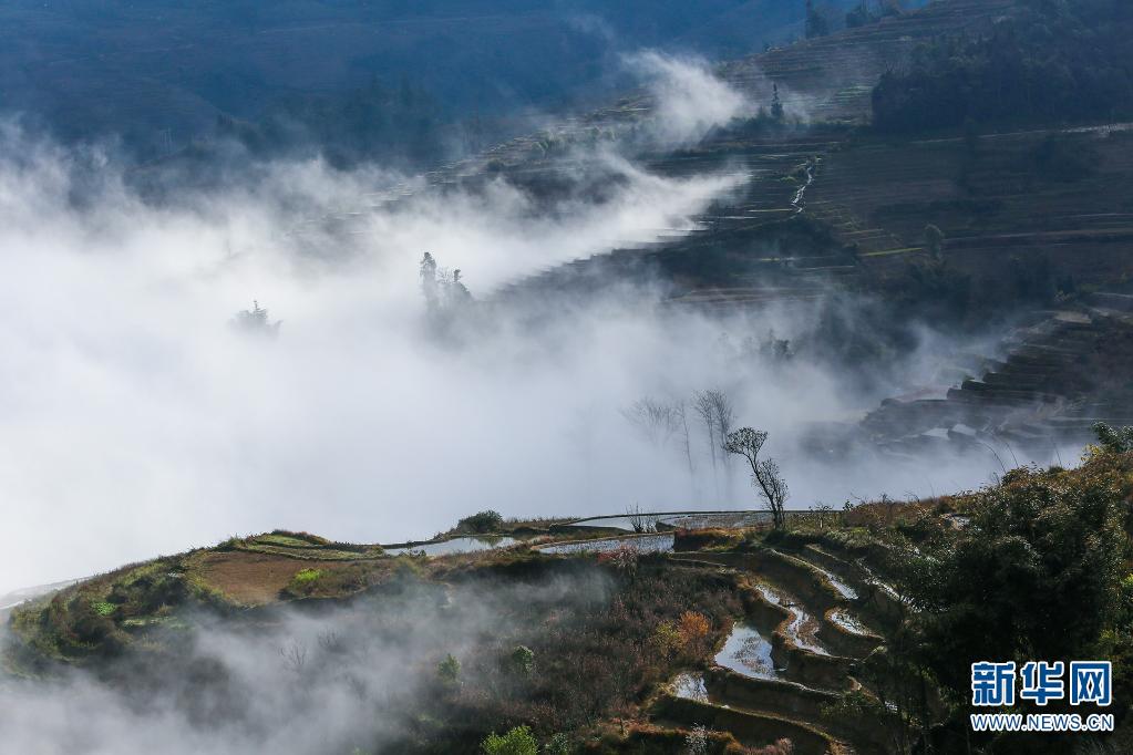 云南省文化和旅游厅