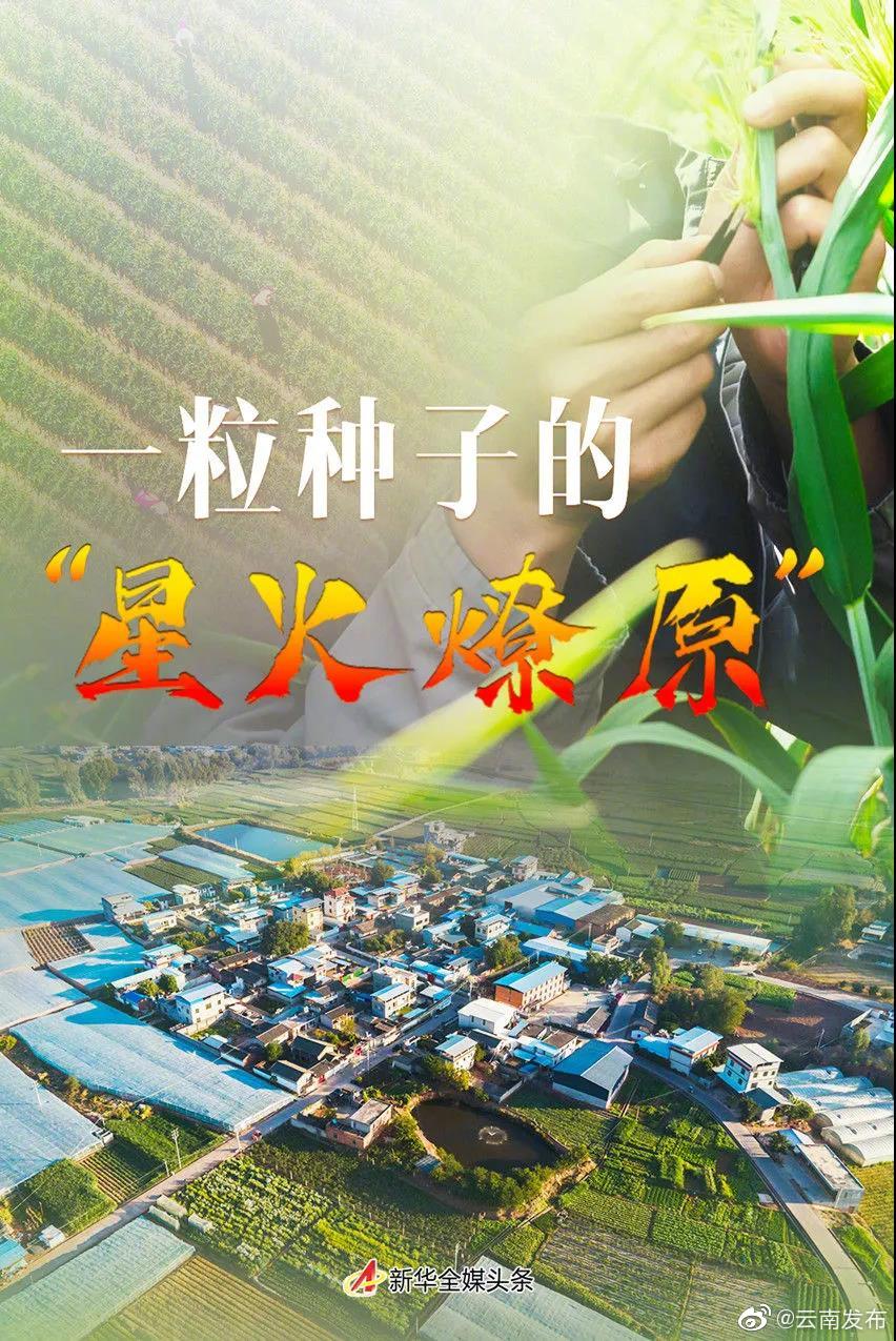 一粒种子的“星火燎原”