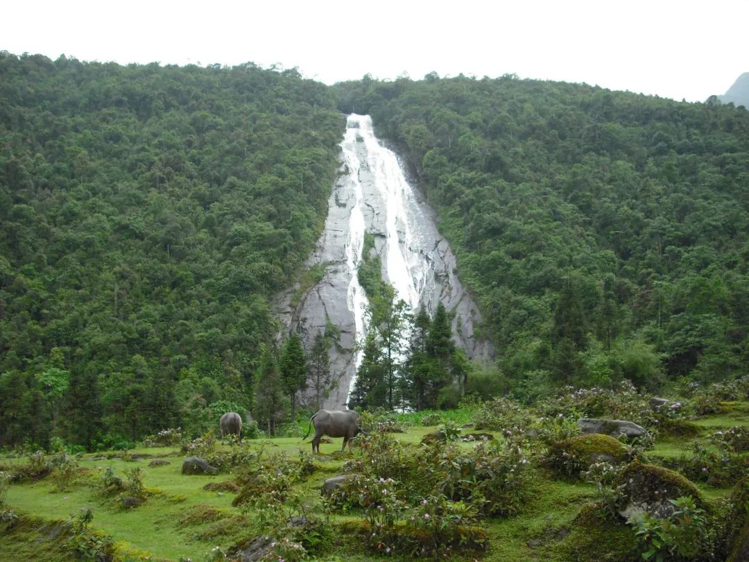 红河文旅