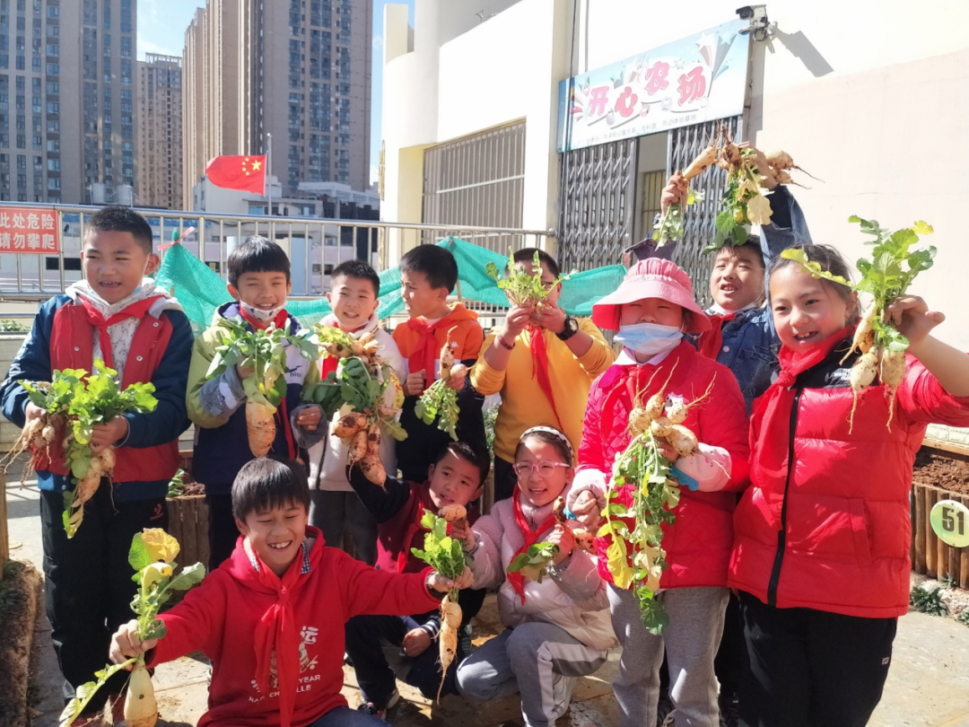 盘龙教育(微信)