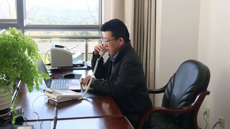 清廉普洱