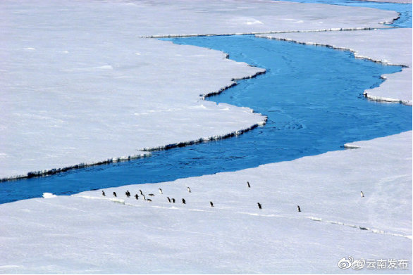 “云南发布”微博