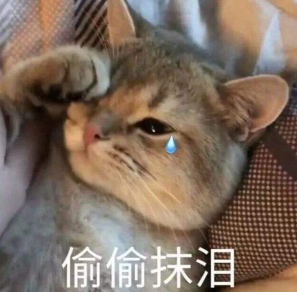 昆明信息港/cnkmxxg
