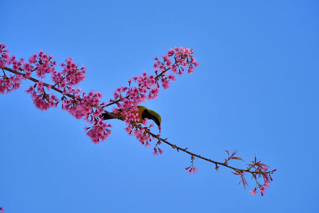 保山新闻网