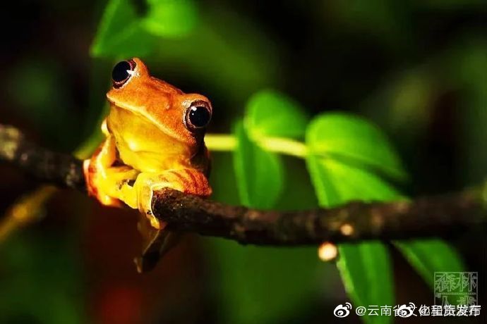 呈贡发布