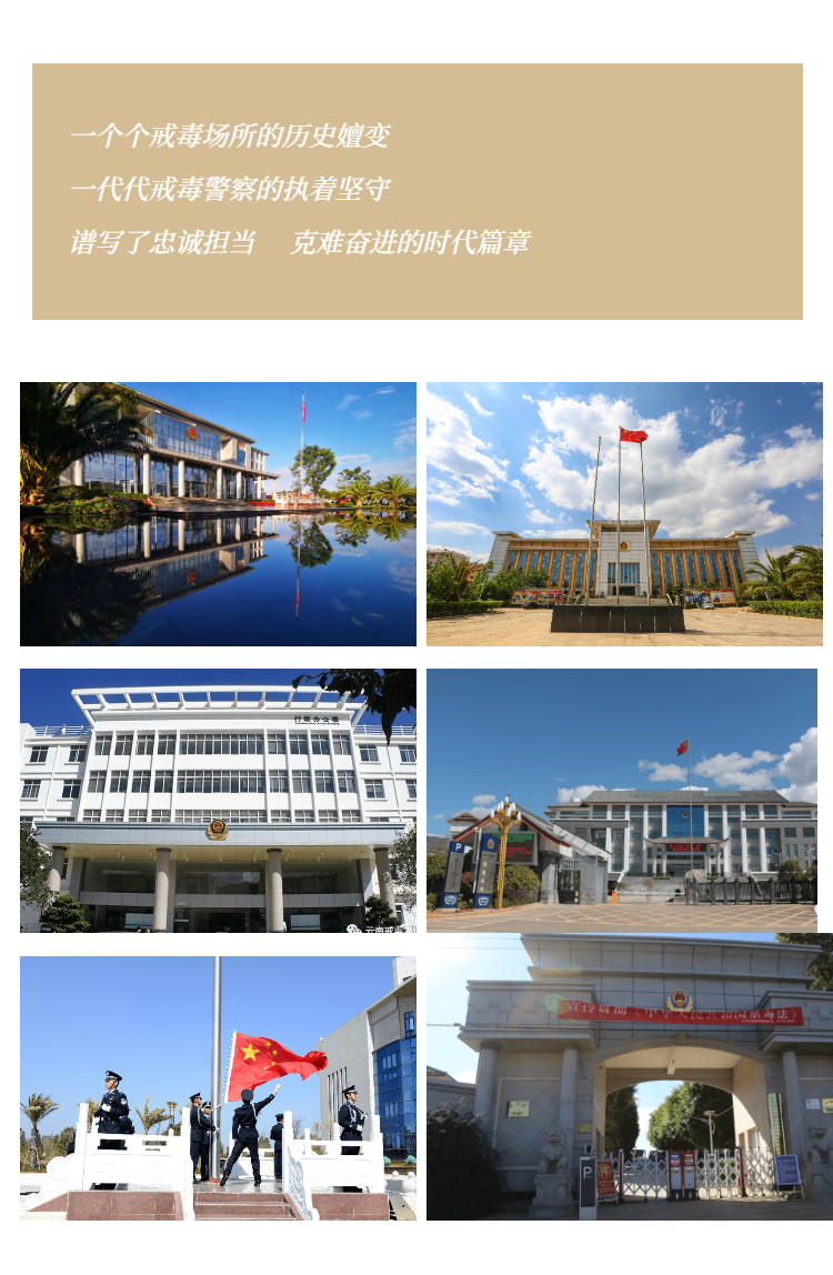 云南政法