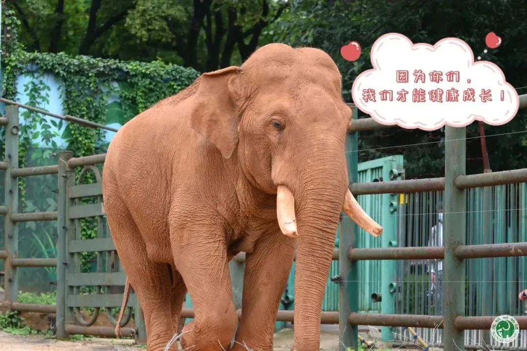昆明动物园