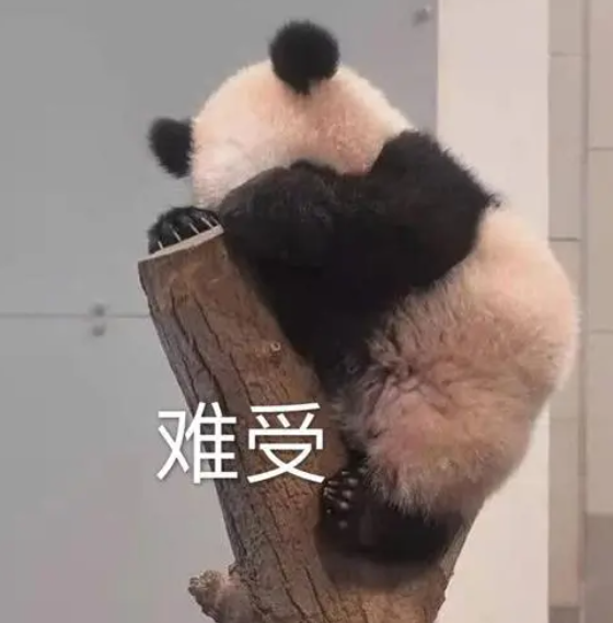 昆明信息港/cnkmxxg