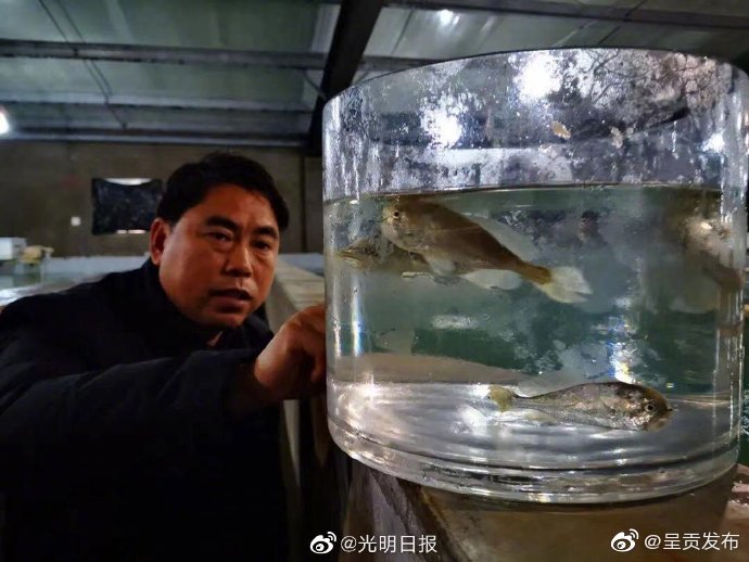 呈贡发布