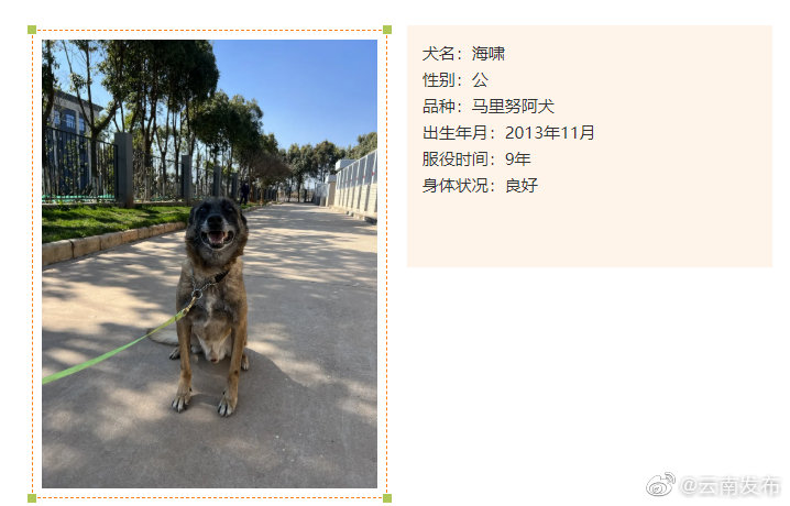 “云南发布”微博