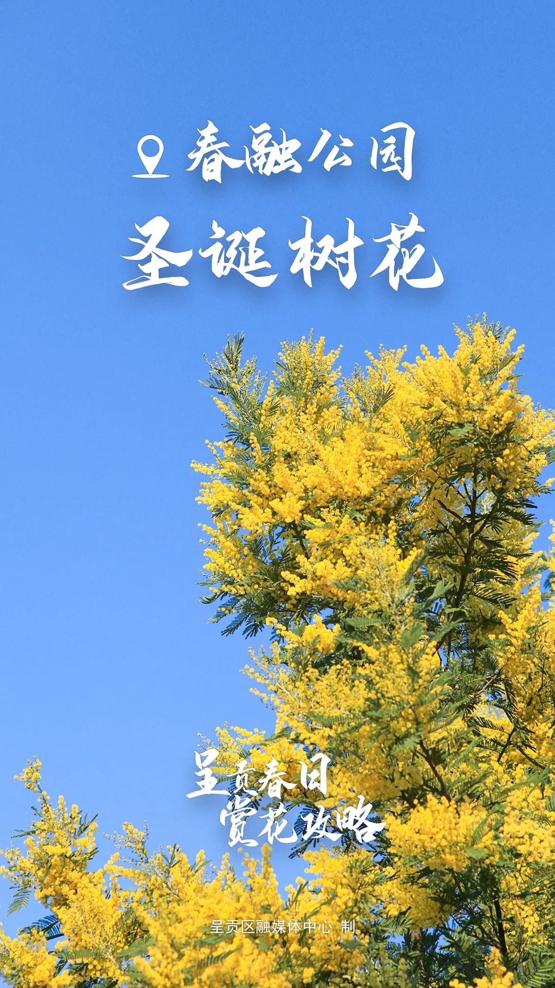 昆明生态环境
