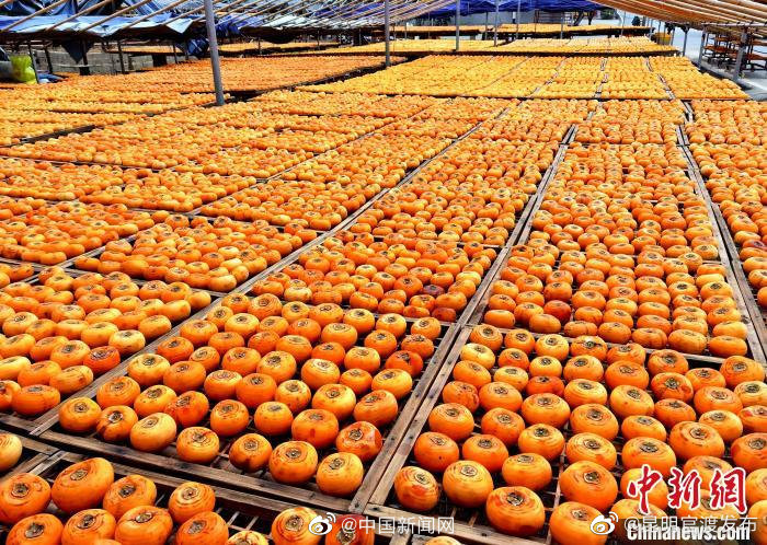 女童连吃6块柿饼生巨大柿石 专家：柿饼勿空腹勿与海鲜等同吃