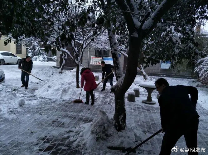 县总工会机开展扫雪除冰志愿服务活动