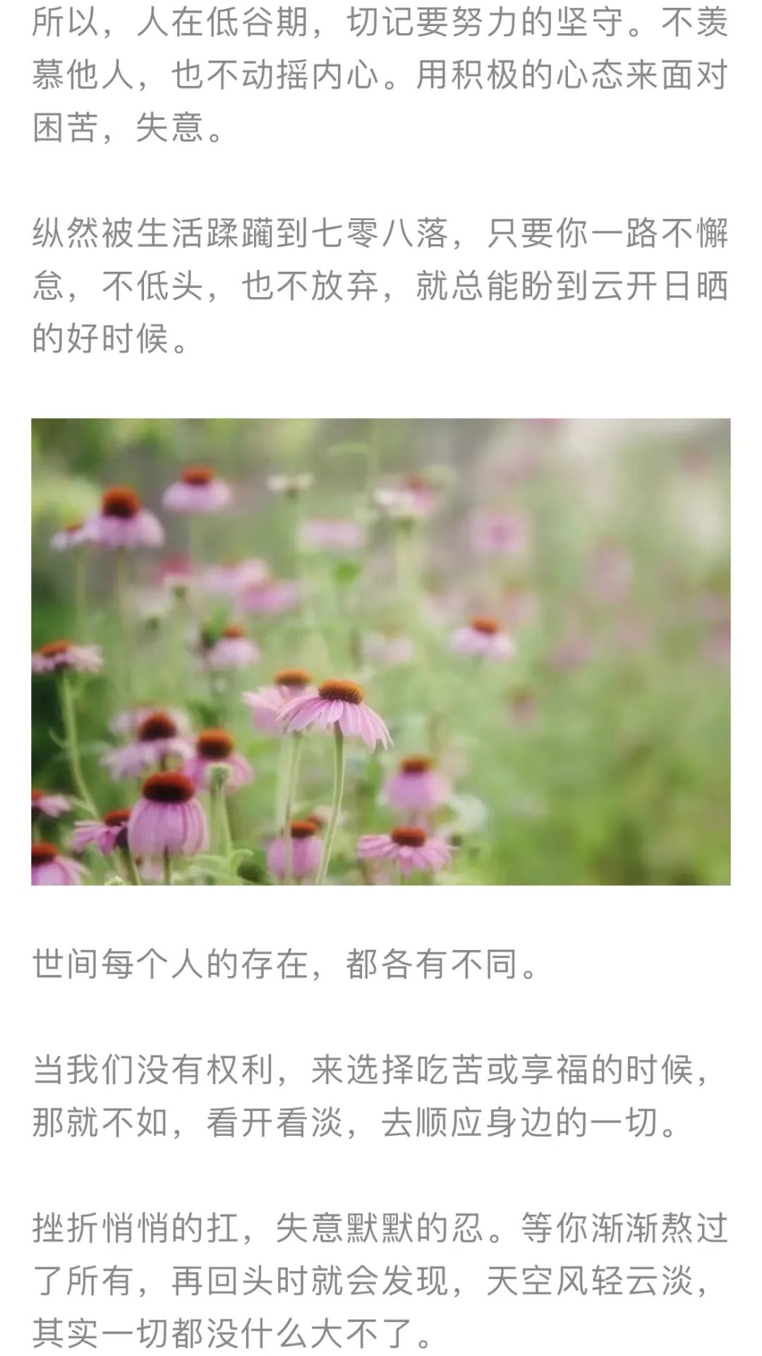 红色扎西
