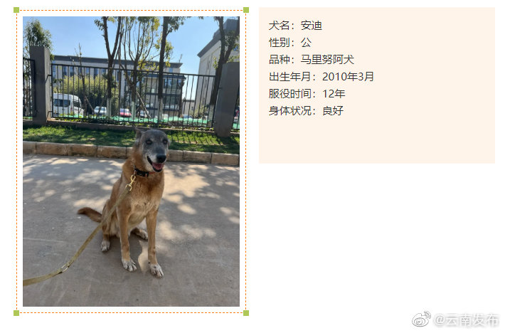 “云南发布”微博