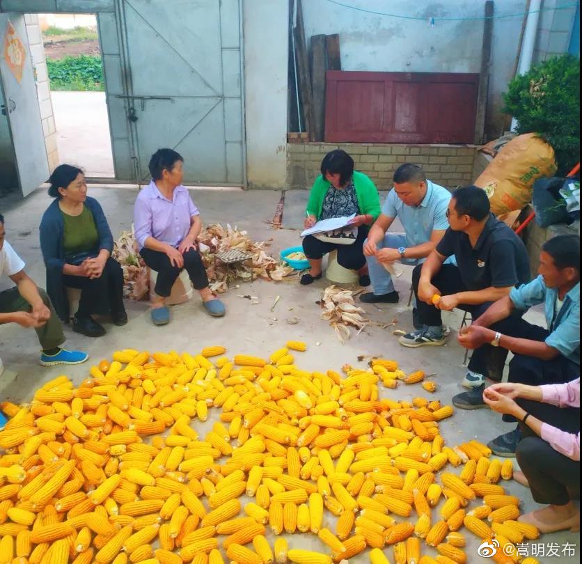 嵩明发布