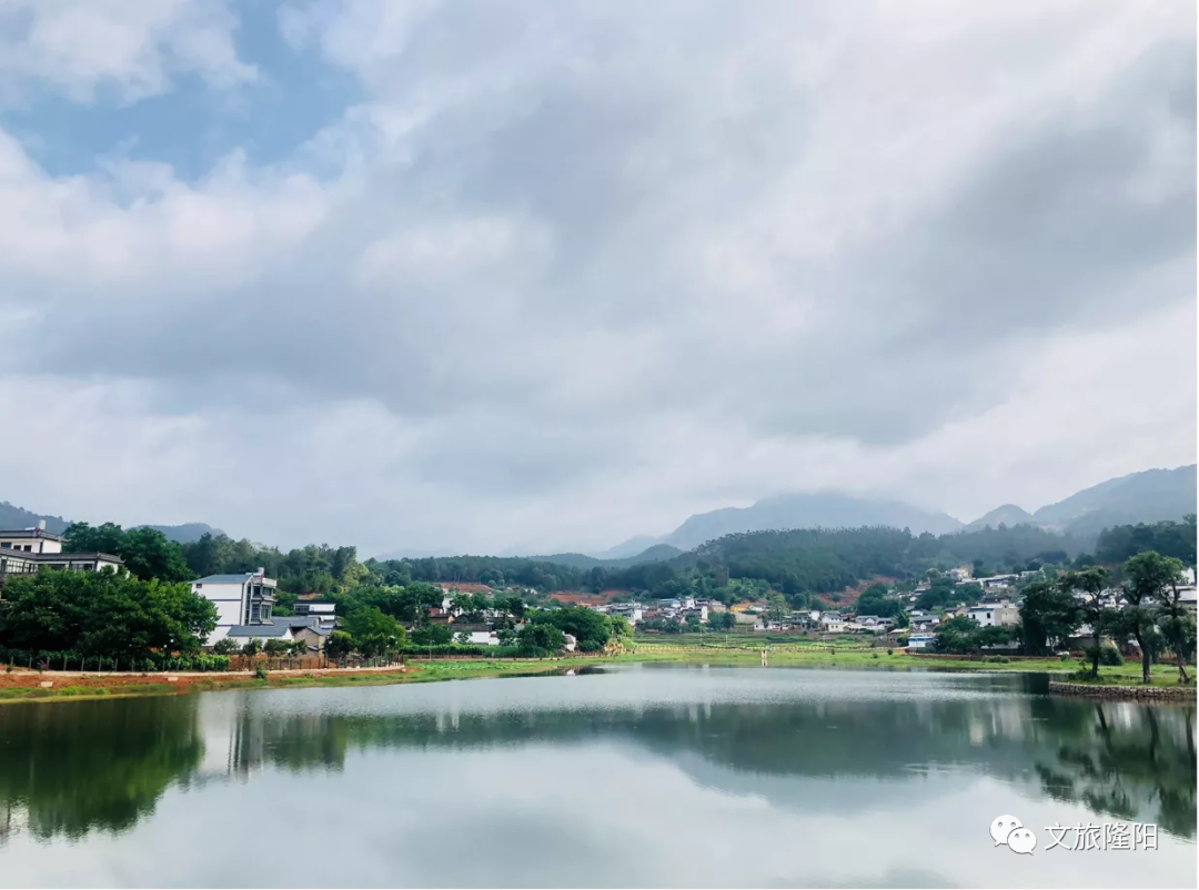 保山新闻网