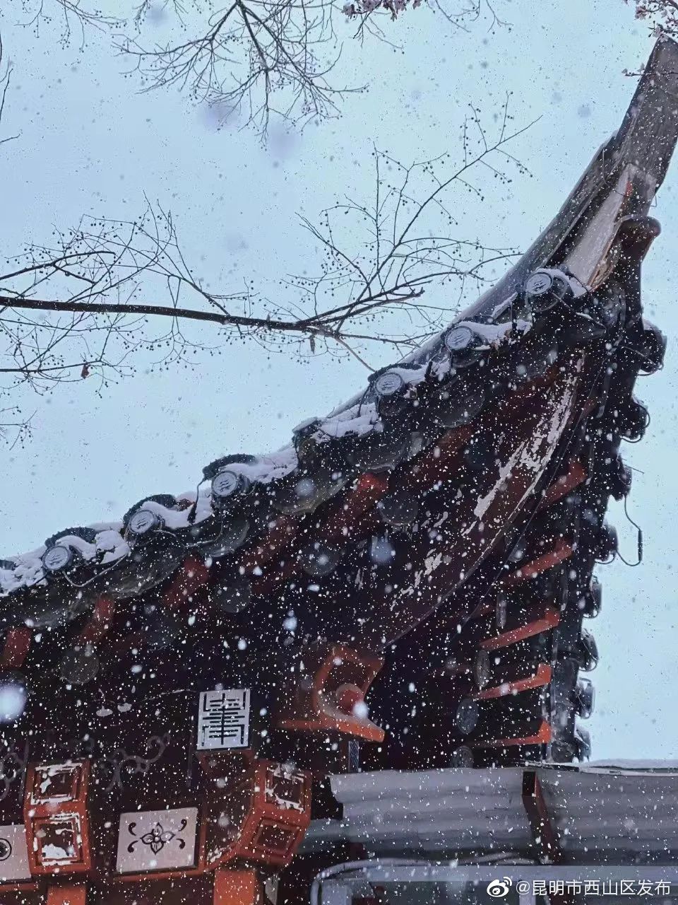 “昆明市西山区发布”微博