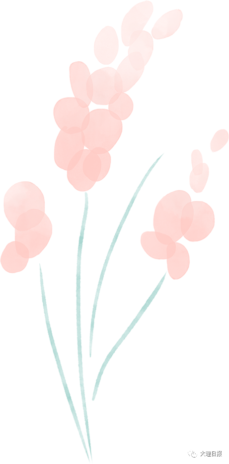 大理日报
