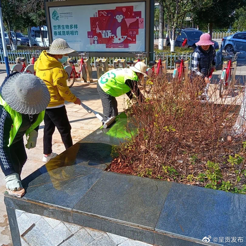 呈贡发布