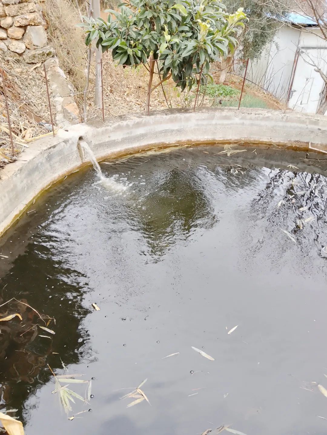 丽江日报